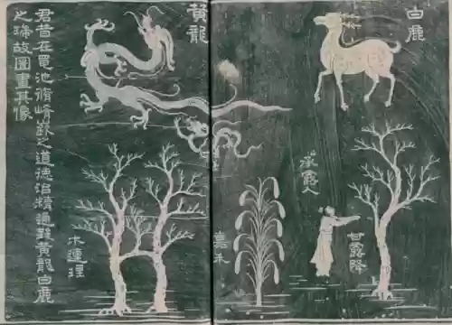 鲸吞天地阵容(离吞吞阵容详解)