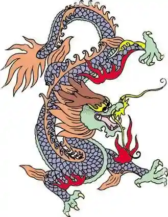 龙的图案图片大全(免费设计logo图案)插图9