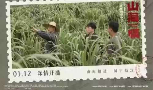 硬核剧作阵容(剧本杀硬核本)插图38
