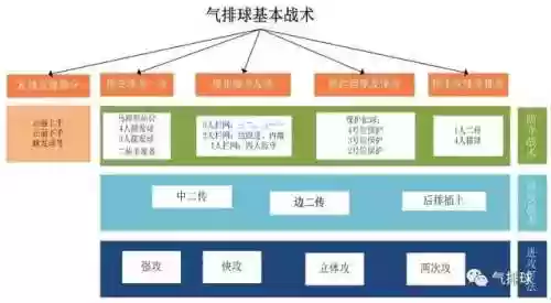 阵容配备原则(排球五一阵容配备示意图)插图4