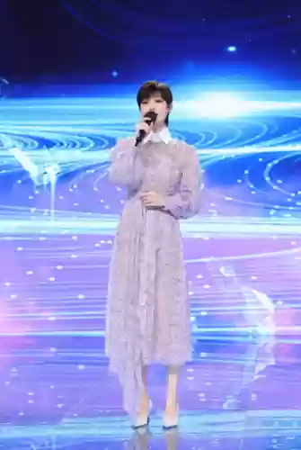 春晚阵容衣服(春节联欢晚会同款衣服图片)插图10