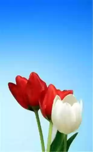精美壁纸手机高清图片(精美壁纸动漫 二次元男生帅气)插图92