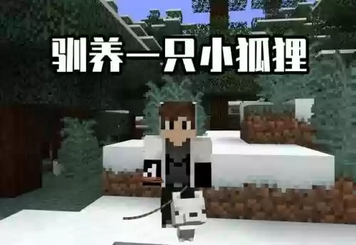 我的世界狐狸怎么驯服(我的世界驯服宠物大全表)插图1
