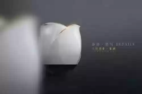 福拉丝阵容(拉克丝云顶之弈阵容)插图20