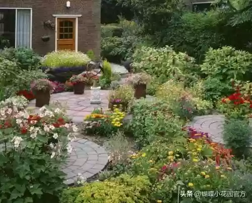 花园新手阵容(植物大战僵尸花园无尽模式最佳阵容)插图2