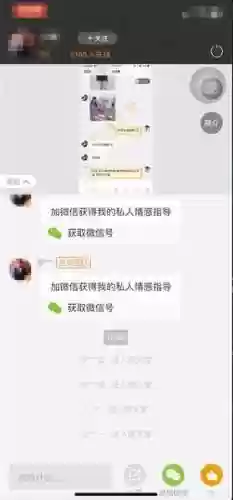 闪烁之光人马妲己小鹿阵容(妲己搭配的最强阵容)插图1