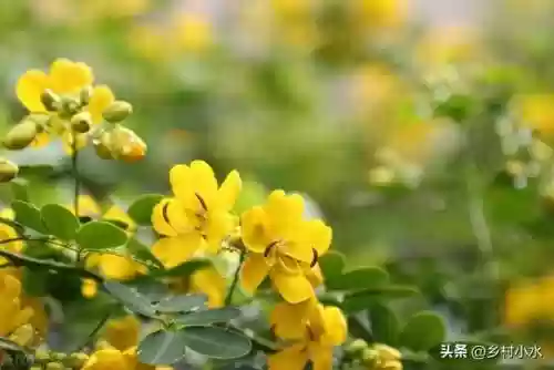 蛇最怕3样东西(蛇最怕的是什么药物)插图2