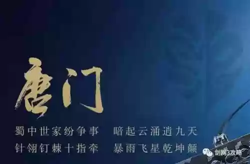唐门排位剑网三阵容(王者五排阵容)