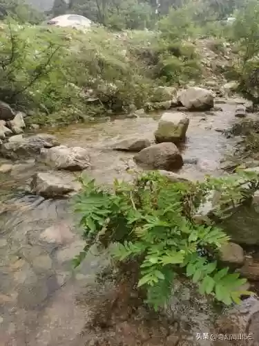 神秘钥匙怎么获取(心渊梦境水之领域钥匙在哪里)