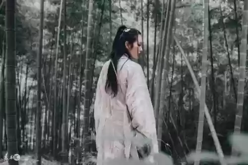 原神雷九香班阵容详解(原神香菱主c阵容搭配)