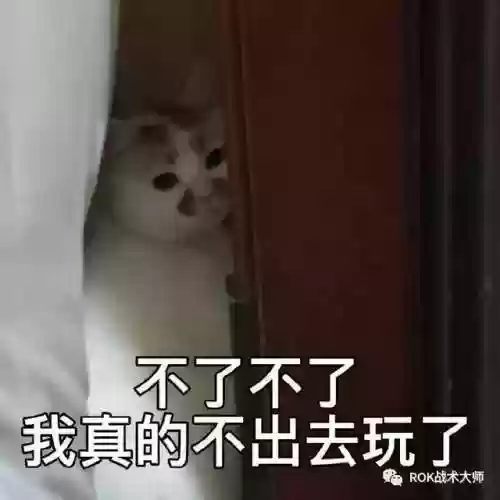 万国劫掠者怎么搭配阵容(万国觉醒后期最强阵容)插图15