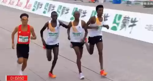 黑护法阵容(誓灵最强阵容推荐)