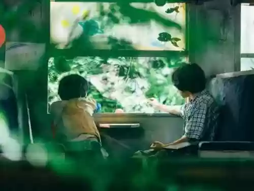 豆瓣高分阵容(豆瓣小组排名)插图2