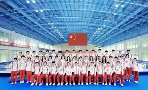 蛙式豪华阵容(宝可梦t0阵容)