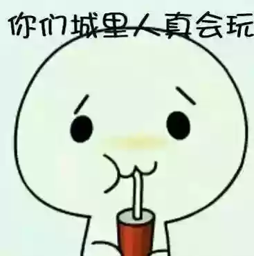 司机的阵容(司机分为哪几种)插图2