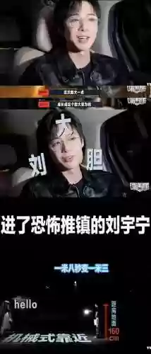 集结季第二个任务位置(大树屋第二个任务怎么做)插图4