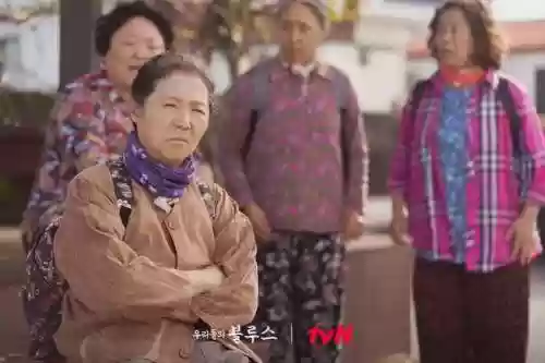 我们的蓝调演员阵容太强(绝对演绎最强阵容养成)插图12