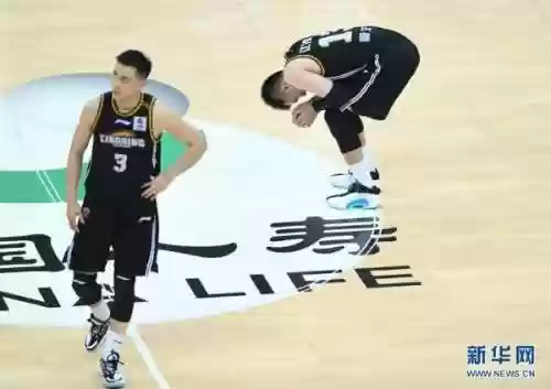 辽宁 亚军 阵容(新赛季辽宁队队员名单)插图7