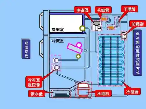 最强省电软件(最强大脑1到10季的脑王)插图10