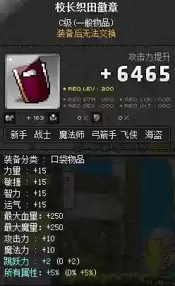 冒险岛火焰骑士阵容装备(冒险岛黑骑士技能加点)插图28