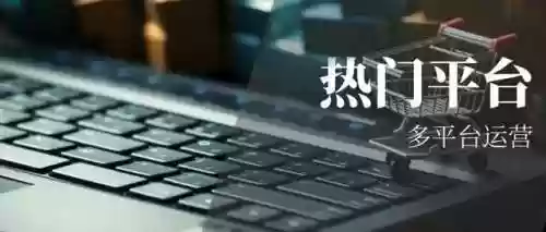 跨境电商平台排行榜前十名(个人怎么开跨境电商店铺)