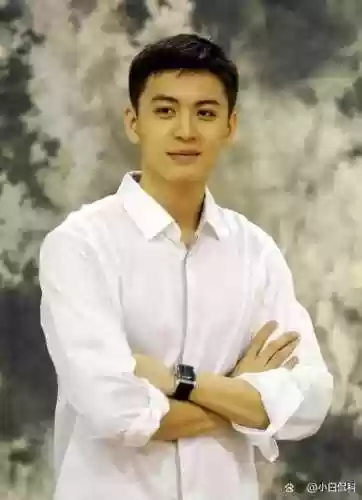 杨指导阵容(程普黄忠武锋阵最强阵容搭配)插图8