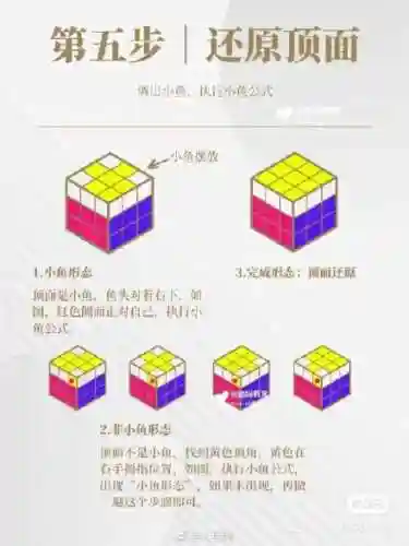 魔方还原教程(扫一扫魔方还原器)插图6