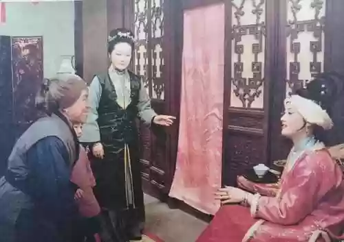 神仙阵容赵丽蓉(天龙八部3d美人搭配最新阵容)插图3