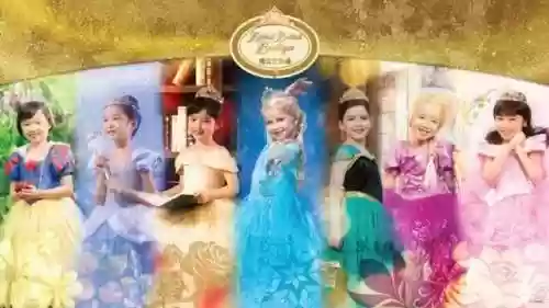 迪士尼园区最佳阵容是(迪士尼八个必玩项目)插图2