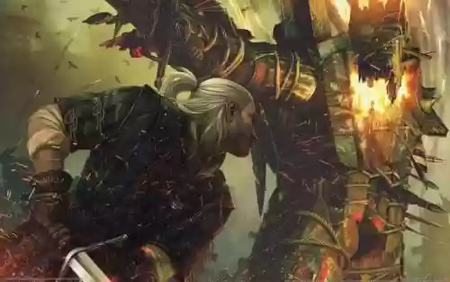 从猎魔人开始的无限之旅(行走诸天的猎魔人 小说)插图3