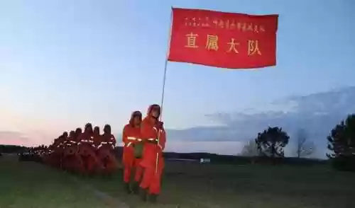 森林卫士阵容(全民僵尸大战警察阵容)插图4