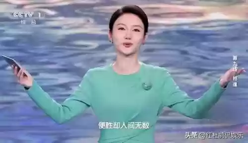 诗词大会阵容(中国诗词大会第二季诗词汇总)插图2