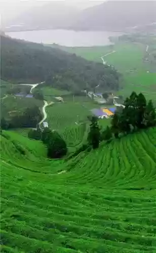 精美壁纸手机高清图片(精美壁纸动漫 二次元男生帅气)