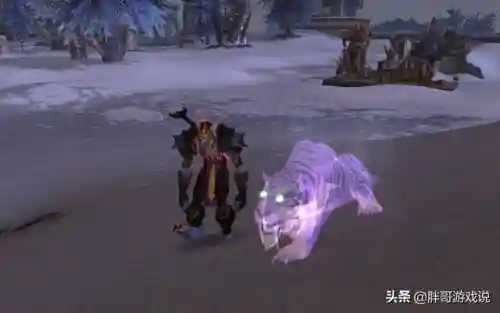 魔兽世界正式服灵魂兽大全(魔兽世界27只灵魂兽刷新地点)插图7