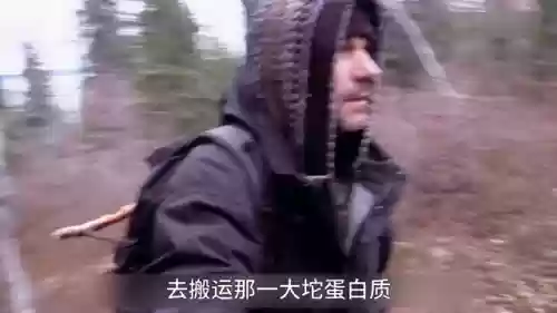 生存挑战一刀流阵容搭配(地牢求生阵容搭配)插图3