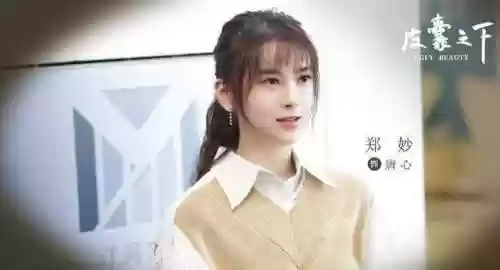 皮囊之下阵容(鸿图之下阵容)插图5