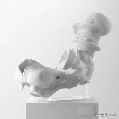 海绵宝宝的尸骨(画海绵宝宝一家人)插图6