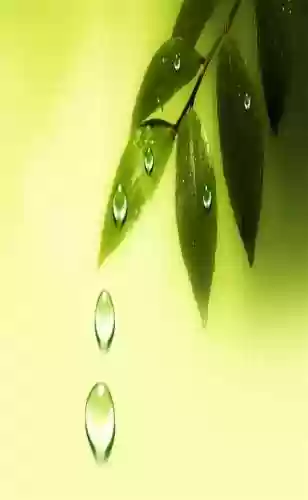 精美壁纸手机高清图片(精美壁纸动漫 二次元男生帅气)插图76