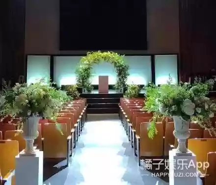 结婚美女阵容(结婚开场舞简单有气势)插图4