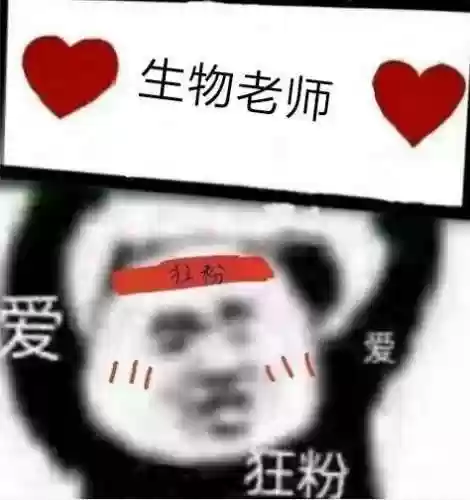 搞笑阵容头像(搞笑头像图片 逗比)插图46