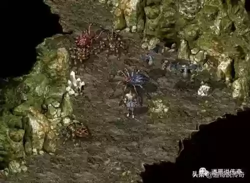 抉择之地怎么去(赤月峡谷广场去抉择之地)插图4
