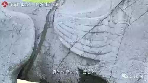 神兽是什么意思(神兽在家文案幽默句子)插图35