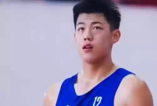 辽宁必胜阵容(三国志战略版张辽阵容)插图6