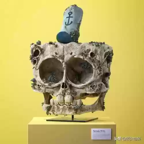 海绵宝宝的尸骨(画海绵宝宝一家人)插图7