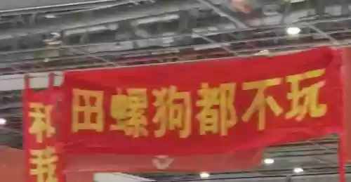 田螺推荐阵容(田螺可以煲什么汤)插图3
