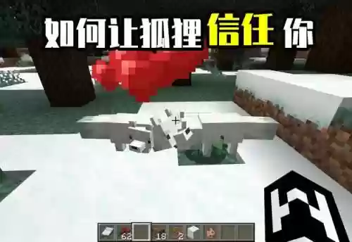 我的世界狐狸怎么驯服(我的世界驯服宠物大全表)插图3