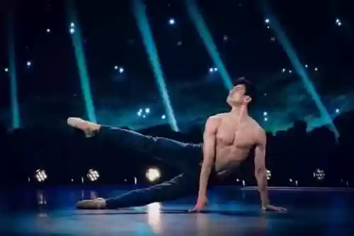 舞蹈神仙阵容(十大最有气质的舞蹈)插图6