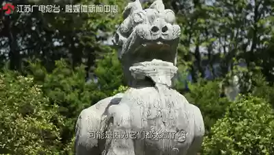 神兽是什么意思(神兽在家文案幽默句子)插图3
