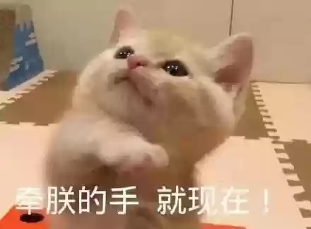 荒野乱斗的最佳阵容图(荒野乱斗10大值得培养的英雄)插图8