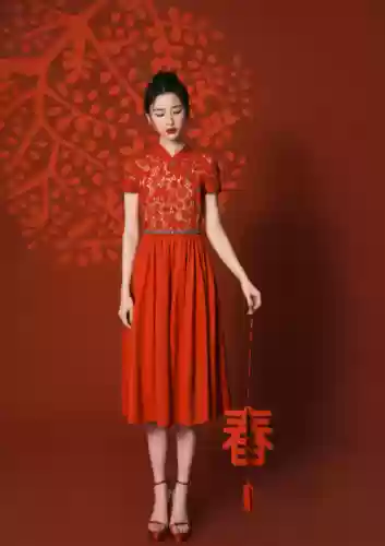 春晚阵容衣服(春节联欢晚会同款衣服图片)插图6